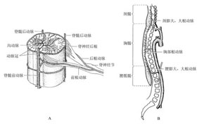 概述