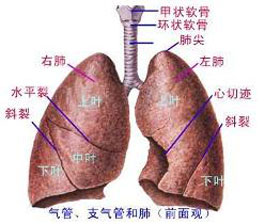 症状描述