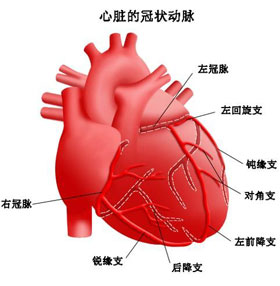 概述