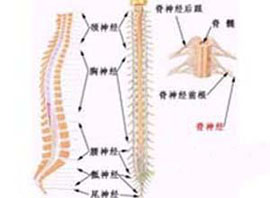 概述