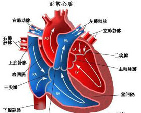 概述