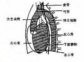 概述