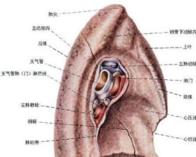 概述