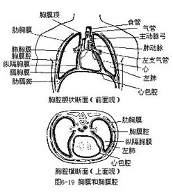 概述