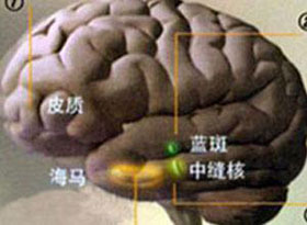 概述