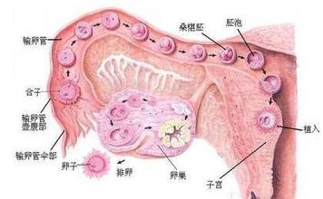 症状起因