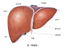 症状起因