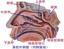 病因