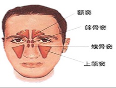 基本信息