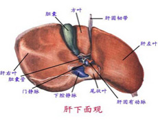 简介