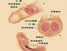 症状描述