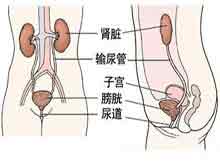 症状诊断/鉴别