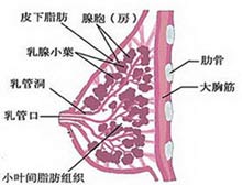 症状描述