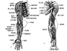 预后