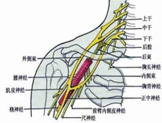 临床表现