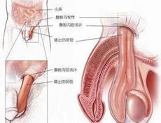 疾病治疗