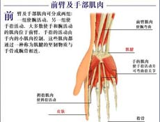 治疗