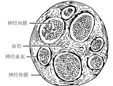 疾病治疗