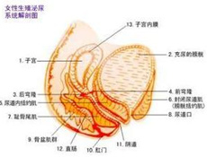 临床表现