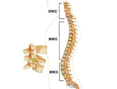 饮食疗法