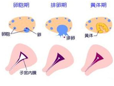 最佳时间