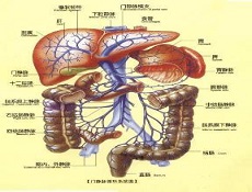 结肠息肉的问题