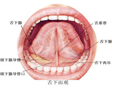 症状起因