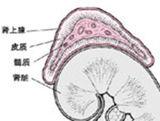 预防