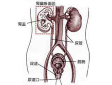 相关知识