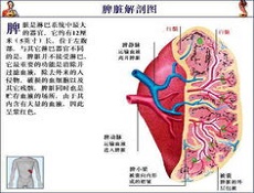 治疗