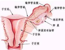 临床表现