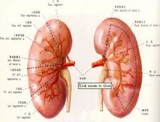 疾病护理