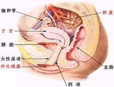 发病原因