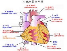 预后