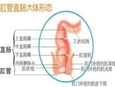 临床表现