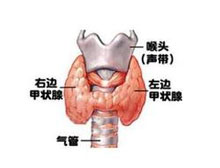 症状描述