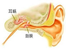 溶栓和抗凝药物