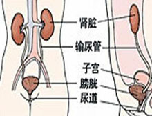 症状描述