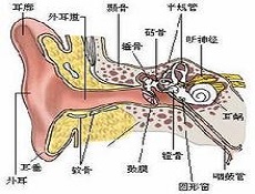 临床表现