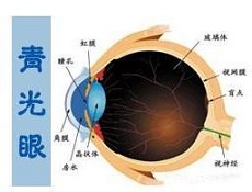 检查项目