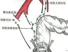 症状描述