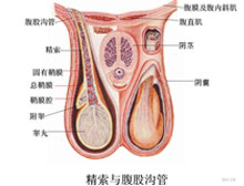 症状起因