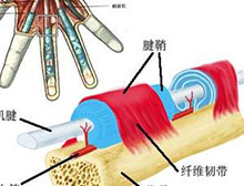 症状描述