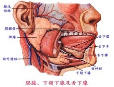 疾病概述