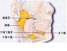 预防