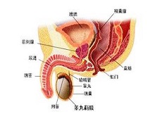 治疗方法