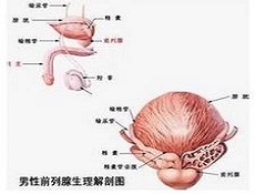 高发人群