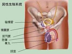 中医治疗