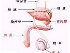 早期症状