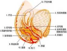 症状描述